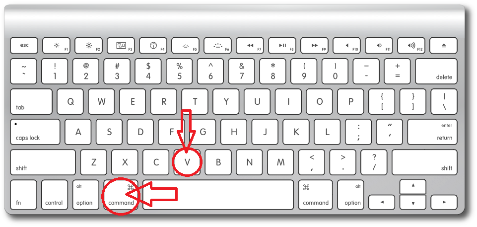 judi online indonesia